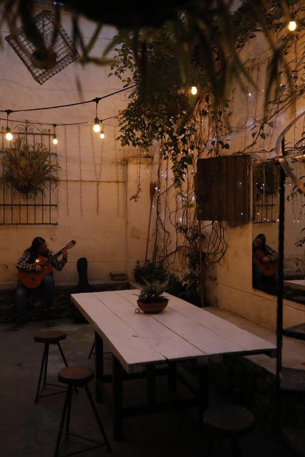 Florentina Symbiosis Medellín Exterior foto
